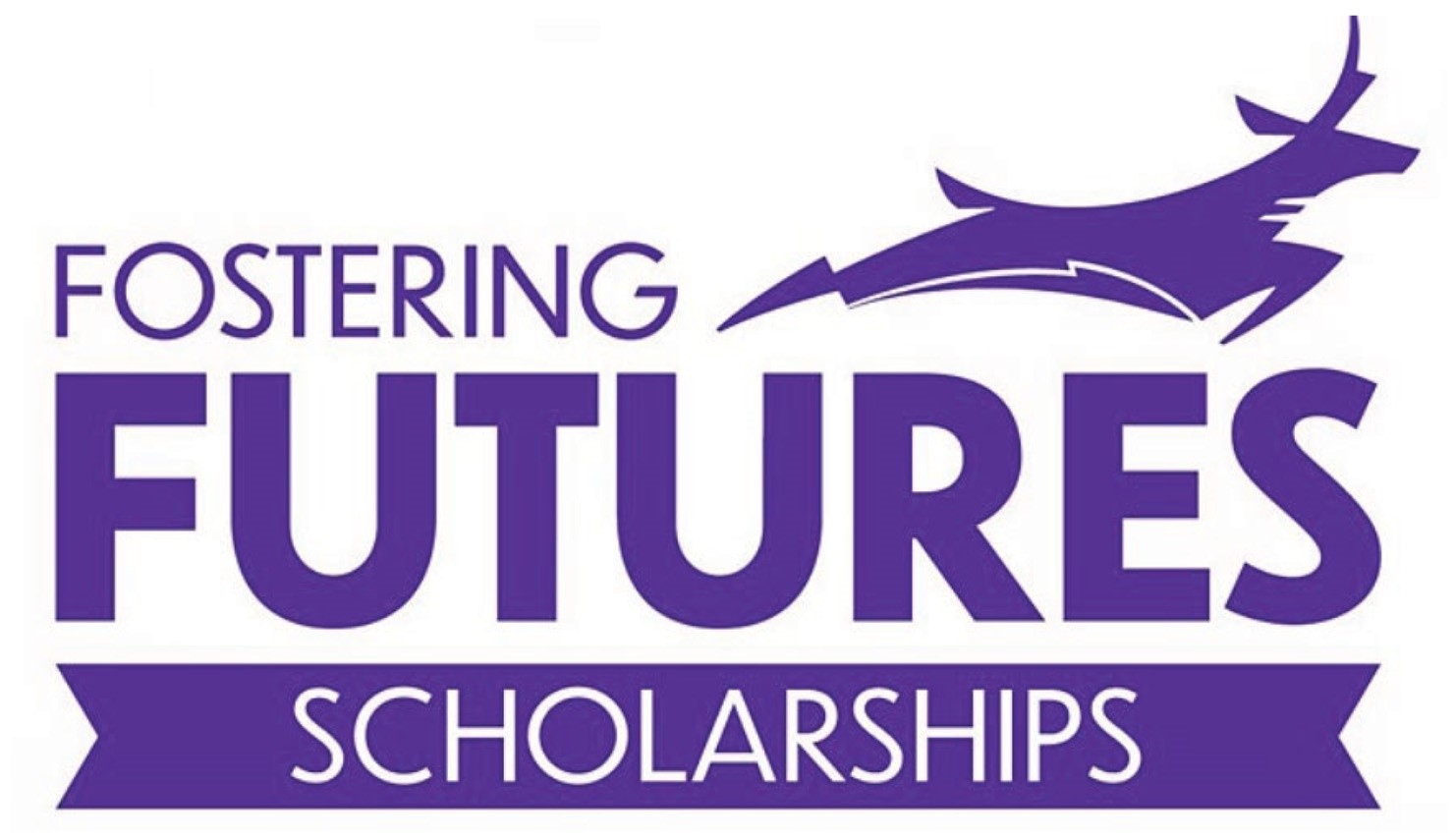 Scholarships for Foster Youth