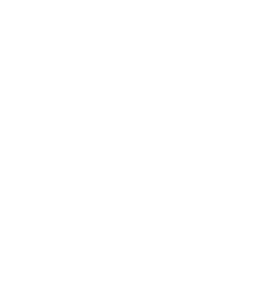 DCS Forms icon